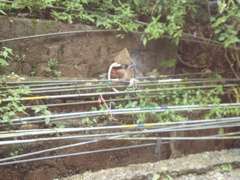 Town has water problems...
