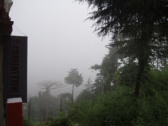 No view  now