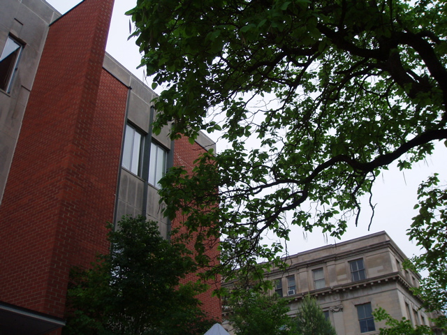 P1010067.JPG