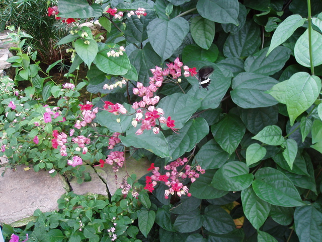 P1010090.JPG