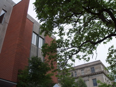 P1010067.JPG