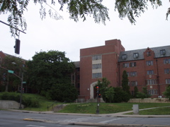 P1010082.JPG