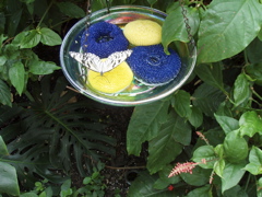 P1010087.JPG