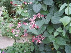 P1010090.JPG