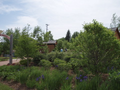 P1010094.JPG