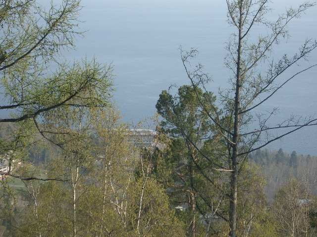 zoom of similar shot