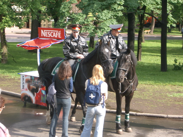 Some interest here by the horse at least