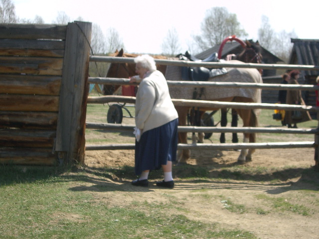 Evelyn meets a horse