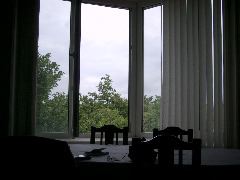 From my reading chair