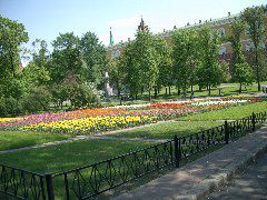 Tulips at Kremlin