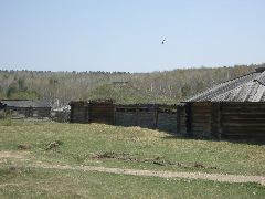 Sod roofed house