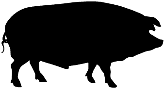 hog.gif (2054bytes)