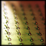Image from the photo story