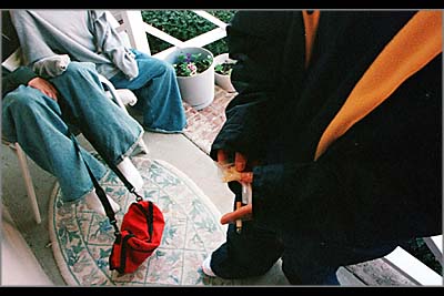 Image from the photo story