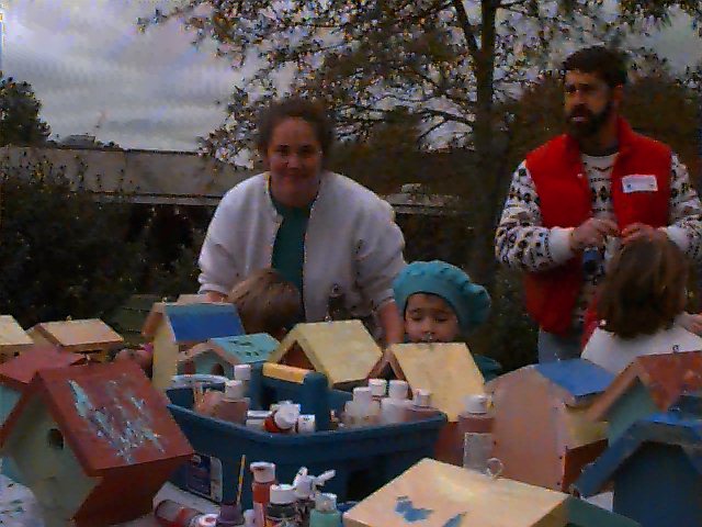 Building Bird Houses