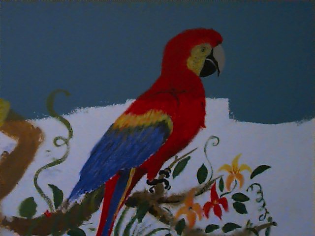 Rainforest Painting