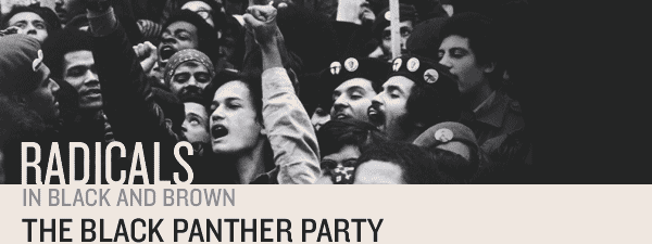 The Black Panther Party
