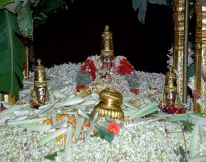 Pushpa Yagam