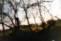 thumbnail image 8