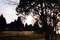thumbnail image 9