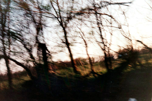 Lexington, KY, 1993 / 2001, C-Print, 20 x 30 in.