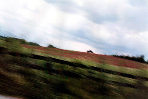 Lexington, KY, 1993 / 2001, C-Print, 20 x 30 in.