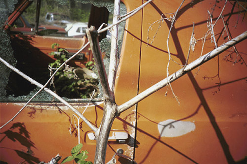 photo 2,  Carrboro, NC, 2000, C-Print, 11 x 14 in.