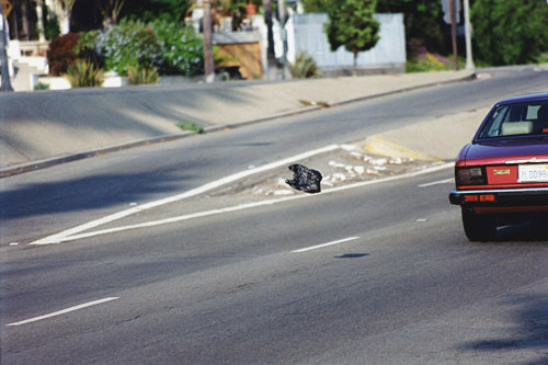 photo 2,  Carrboro, NC, 2000, C-Print, 11 x 14 in.