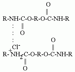 C 3