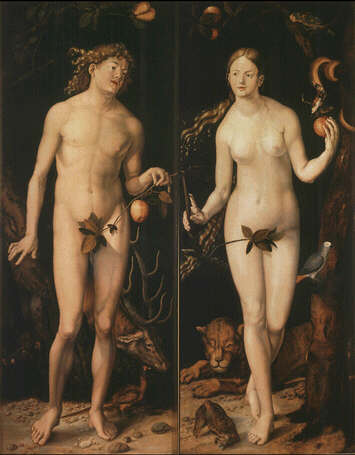 I just really like pictures of Adam and Eve. Is that so bad? Lucas Cranach's Adam and Eve