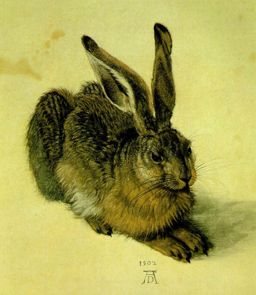 http://www.ibiblio.org/wm/paint/auth/durer/hare.jpg