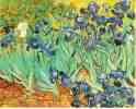 http://www.ibiblio.org/wm/paint/auth/gogh/irises/gogh.irises.small.jpg