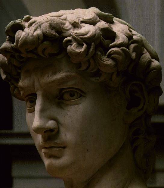 IMAGE(http://www.ibiblio.org/wm/paint/auth/michelangelo/michelangelo.david.jpg)