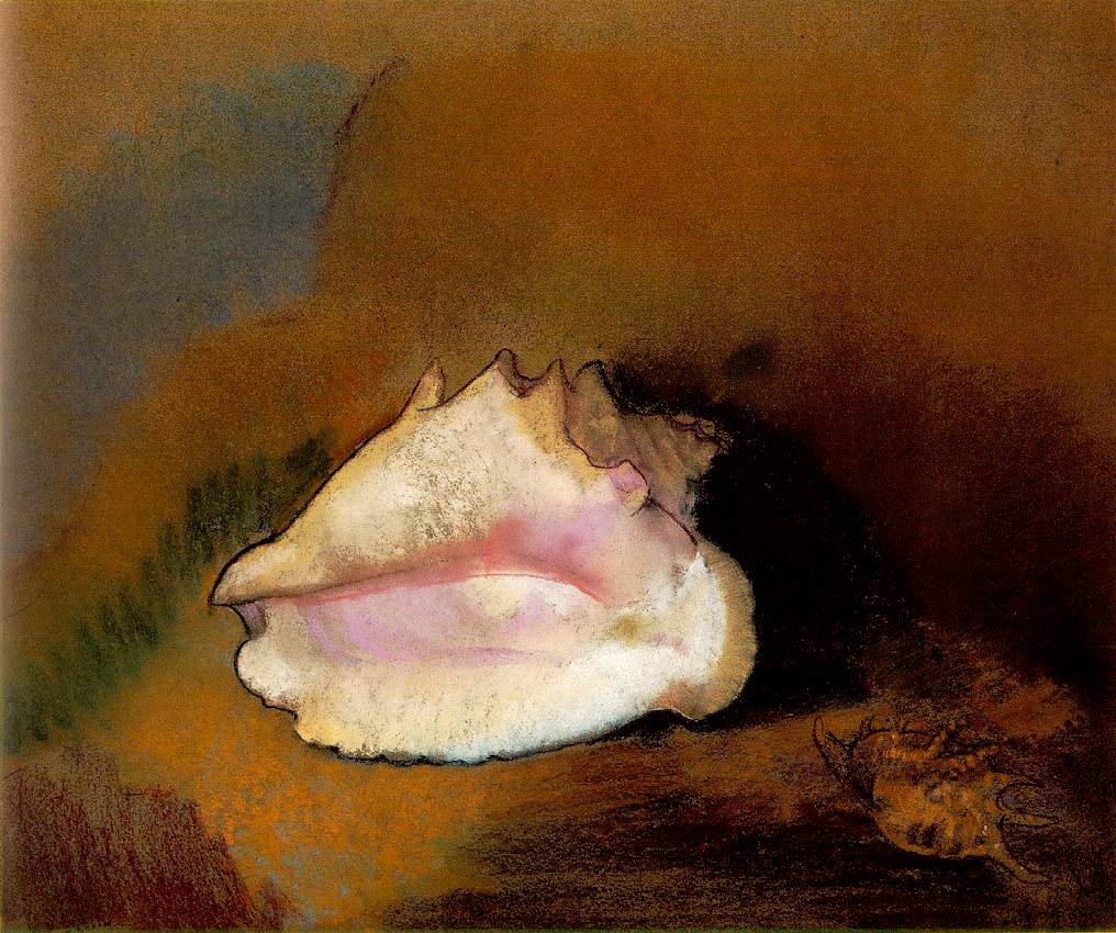 redon.coquille.jpg