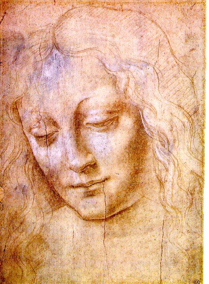 Leonardo da Vinci From Sketches to Paintings