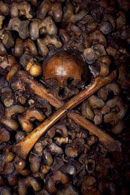 Bones in the Paris Catacomb