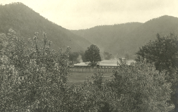 Newly Built Camp