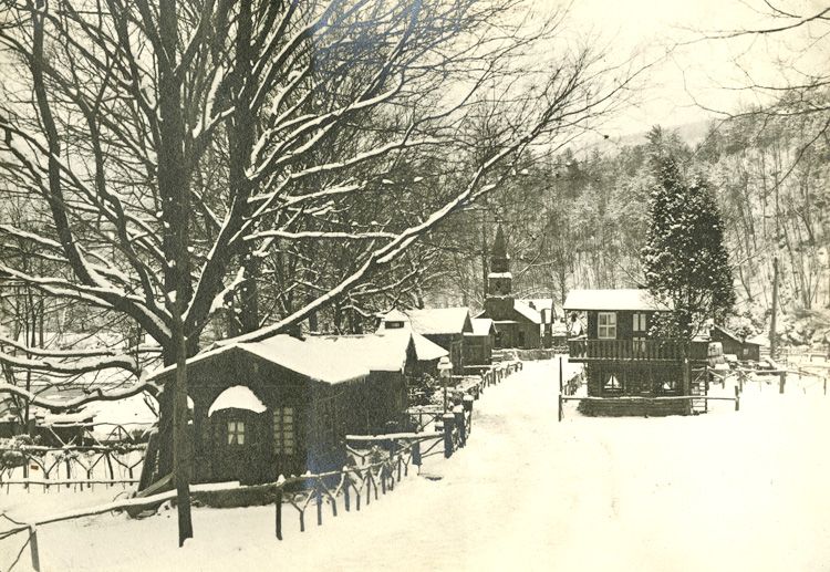 Village in Winter