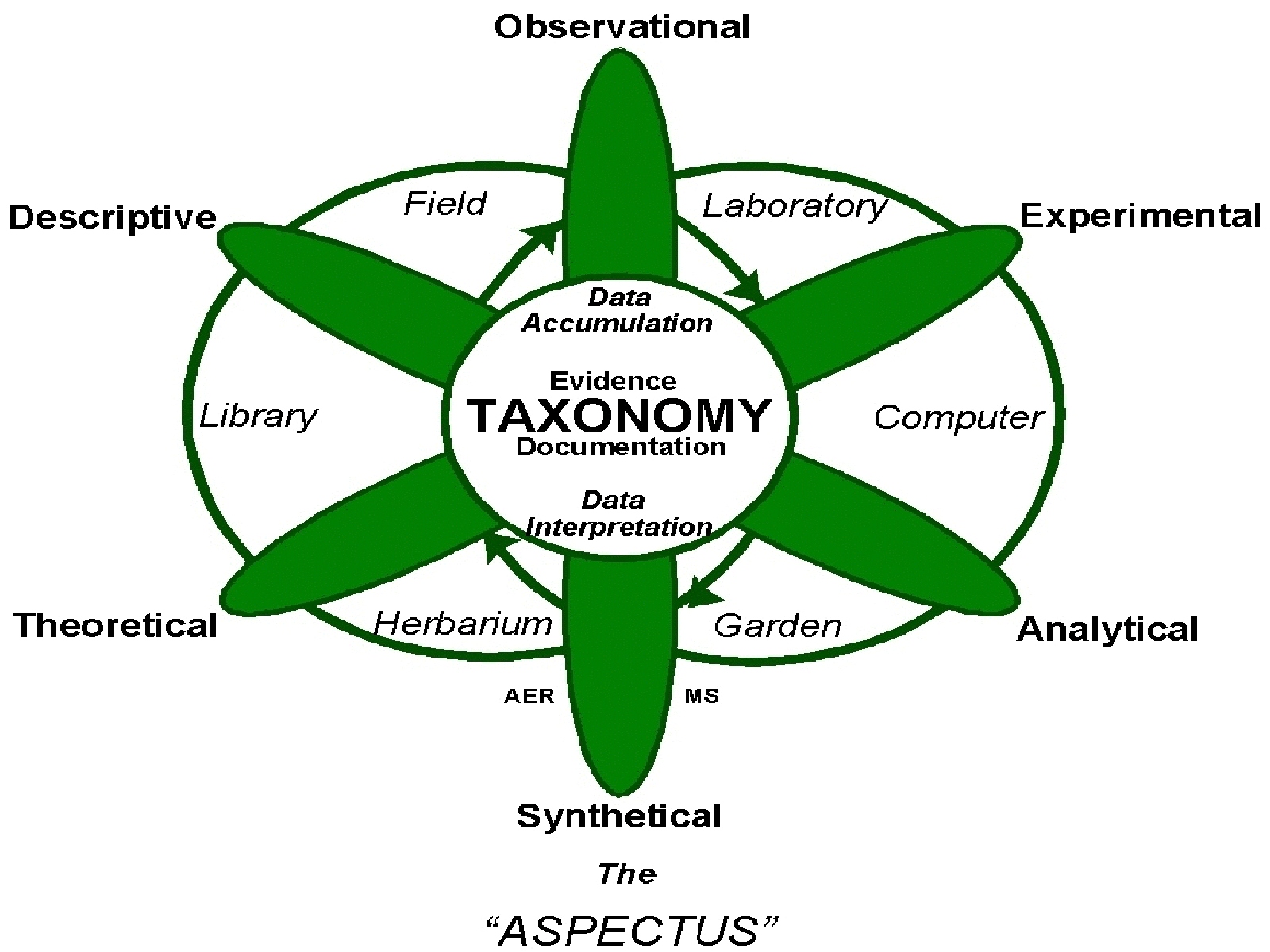 Plant taxonomy. Field describing. Field description