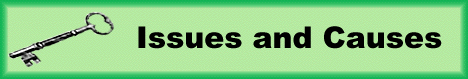 Issues and Causes