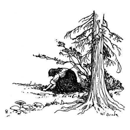 They had been gathered, probably, in some deep Bohemian forest.