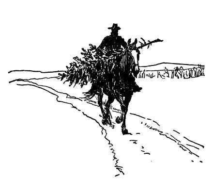 He was bringing in a little cedar tree across his pommel.