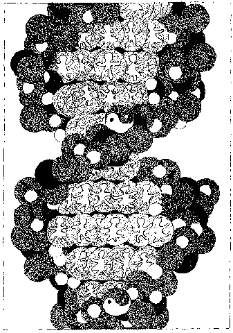 Mix it up in your own gene pool