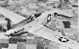 Image: P-51 NORTH AMERICAN MUSTANG