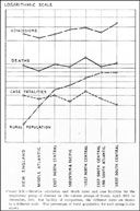 Chart 20