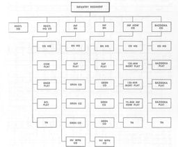 Figure 40.--Infantry Regiment, Volks Grenadier Division