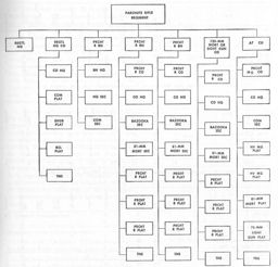 Figure 77.--Parachute rifle regiment, air force parachute division