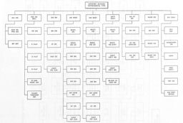 Figure 12.--Infantry Division, Two-Regiment Type