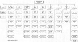 Figure 14.--Volks Grenadier Division