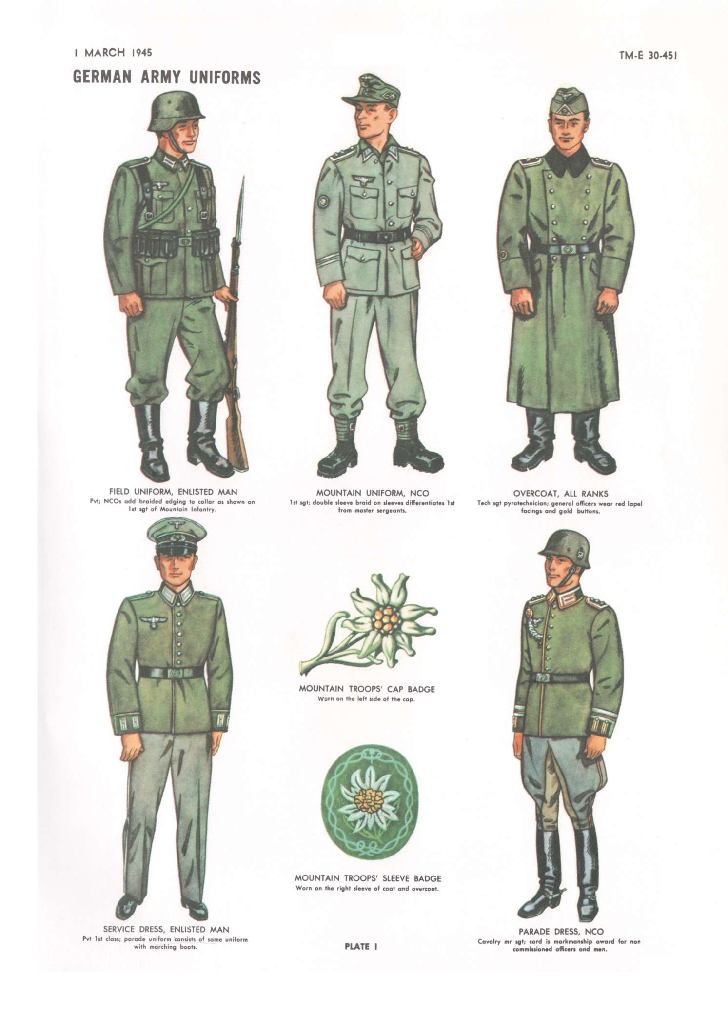 Wwii German Rank Insignia Chart